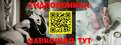 кокс Бийск