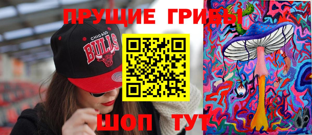 Избербаш  Галлюциногенные грибы MAGIC MUSHROOMS  Псилоцибиновые грибы MAGIC MUSHROOMS  Вход с VPN 