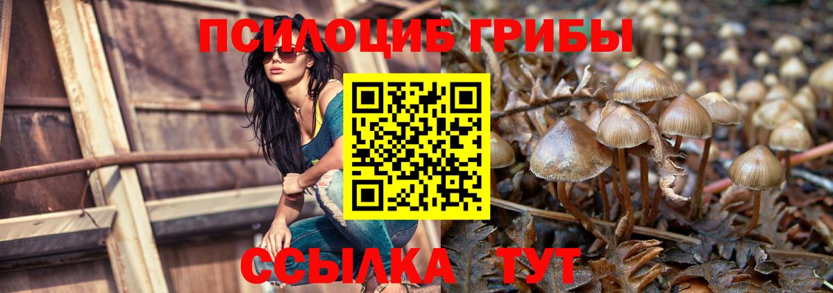 Галлюциногенные грибы прущие грибы Избербаш